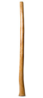 Gloss Finish Flared Didgeridoo (TW1062)